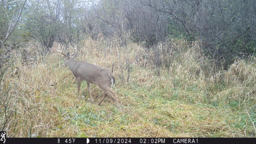 XXX 230th, Minnesota Lake, MN 56068