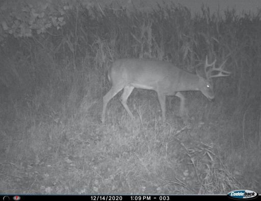 XXX 230th, Minnesota Lake, MN 56068