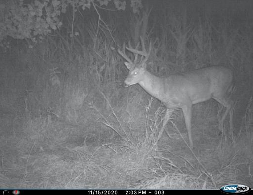 XXX 230th, Minnesota Lake, MN 56068