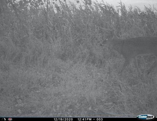 XXX 230th, Minnesota Lake, MN 56068
