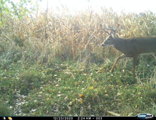 XXX 230th, Minnesota Lake, MN 56068