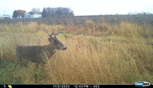 XXX 230th, Minnesota Lake, MN 56068
