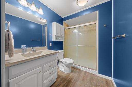 Large walk in shower in the lower level bathroom.