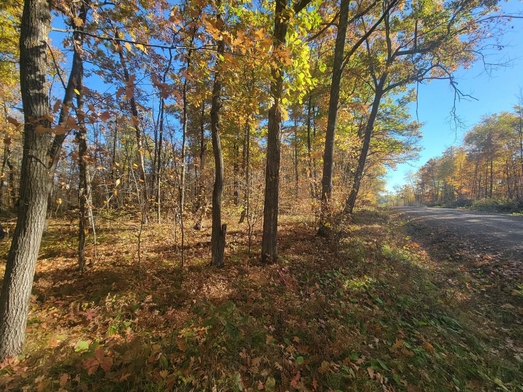 The South end of the property with MN St Game Refuge across the gravel road~