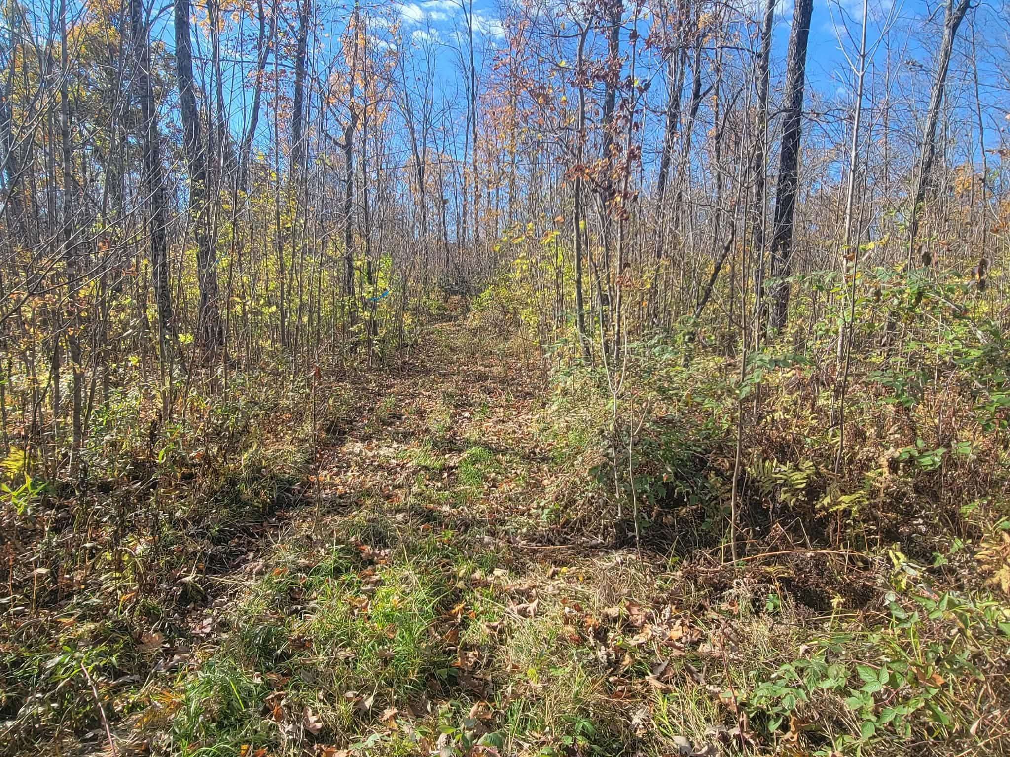 Trail going in on the NE side of the property~