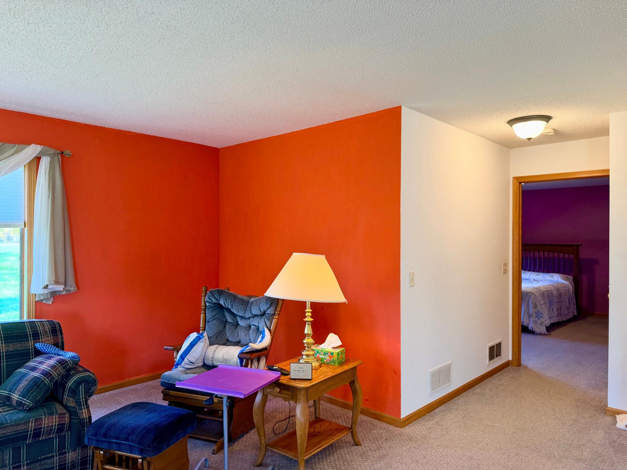 Living Room/Primary Bedroom