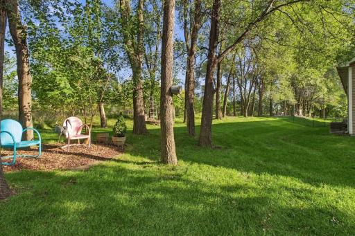 11541 Poppy Street NW, Coon Rapids, MN 55433