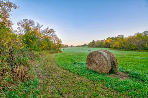TBD 780th Ave, Spring Valley, WI 54767
