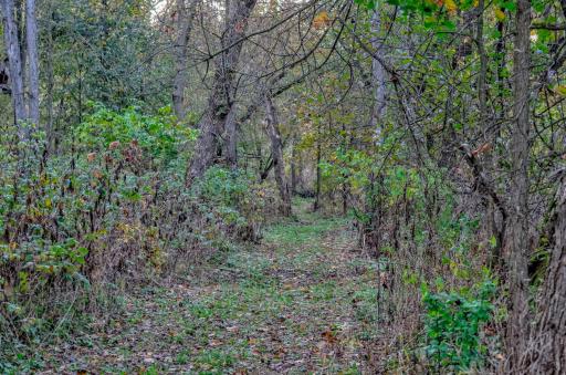 TBD 780th Ave, Spring Valley, WI 54767