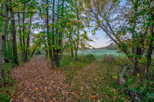 TBD 780th Ave, Spring Valley, WI 54767