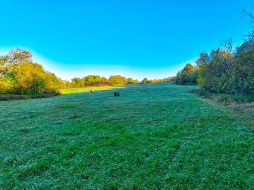 TBD 780th Ave, Spring Valley, WI 54767