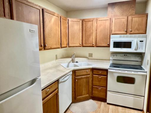 1000 Cannon Valley Drive E, 123, Northfield, MN 55057