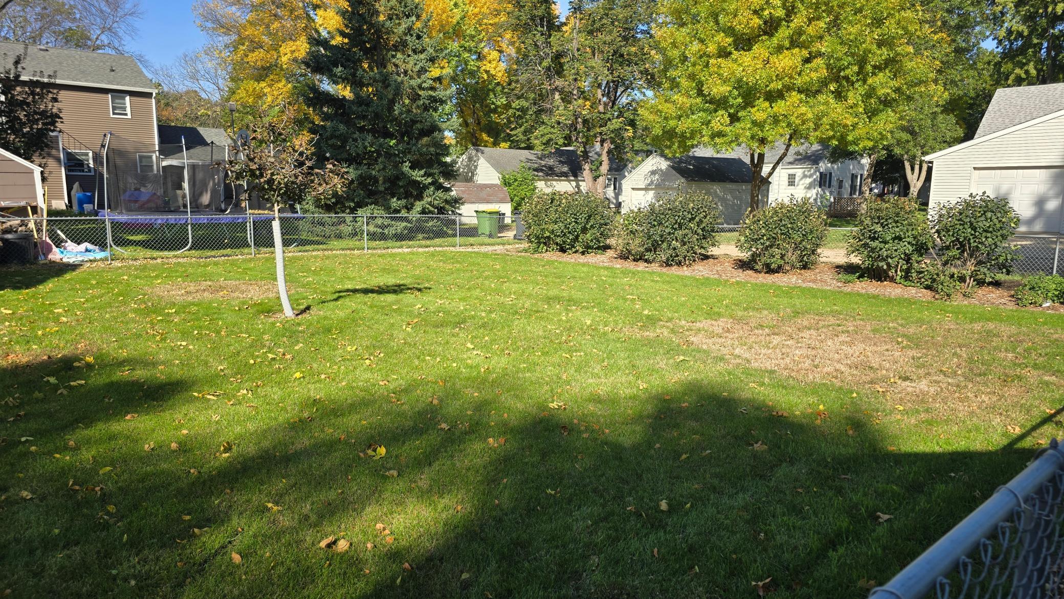fenced in backyard.jpg
