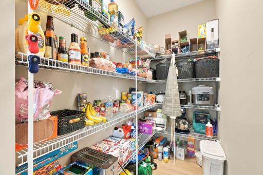 Kitchen with incredible HIDDEN WALK-IN PANTRY