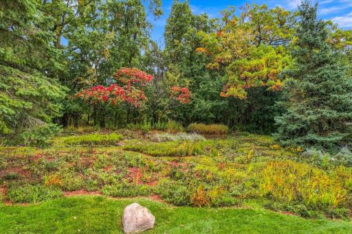 5 Summit, North Oaks, MN 55127
