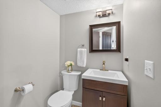 10007 Hidden Oaks Lane N, Champlin, MN 55316