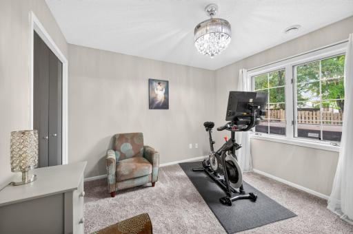 10007 Hidden Oaks Lane N, Champlin, MN 55316