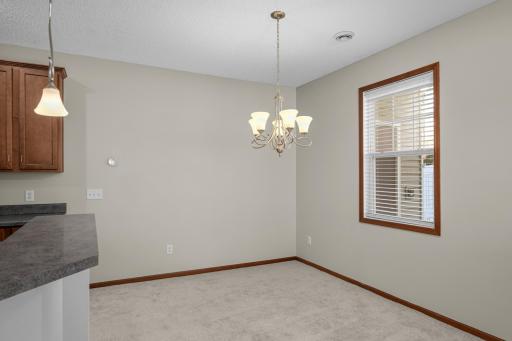 19751 Escort Trail, 501, Farmington, MN 55024