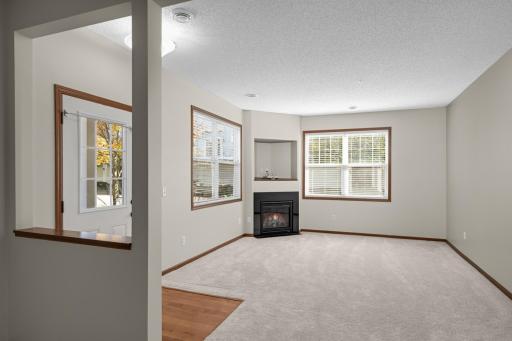 19751 Escort Trail, 501, Farmington, MN 55024