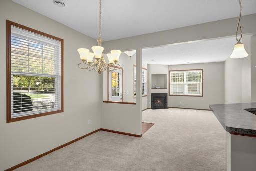 19751 Escort Trail, 501, Farmington, MN 55024