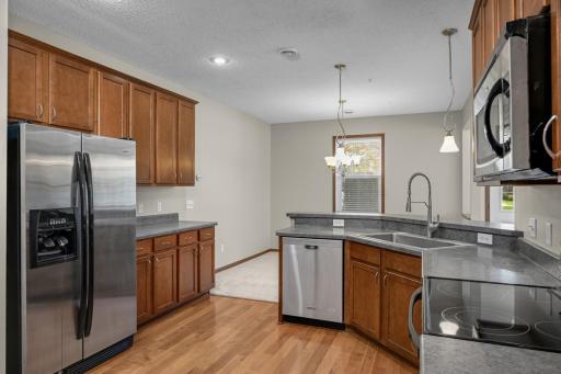 19751 Escort Trail, 501, Farmington, MN 55024