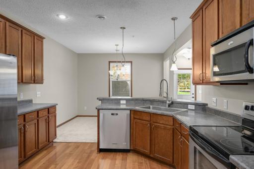 19751 Escort Trail, 501, Farmington, MN 55024