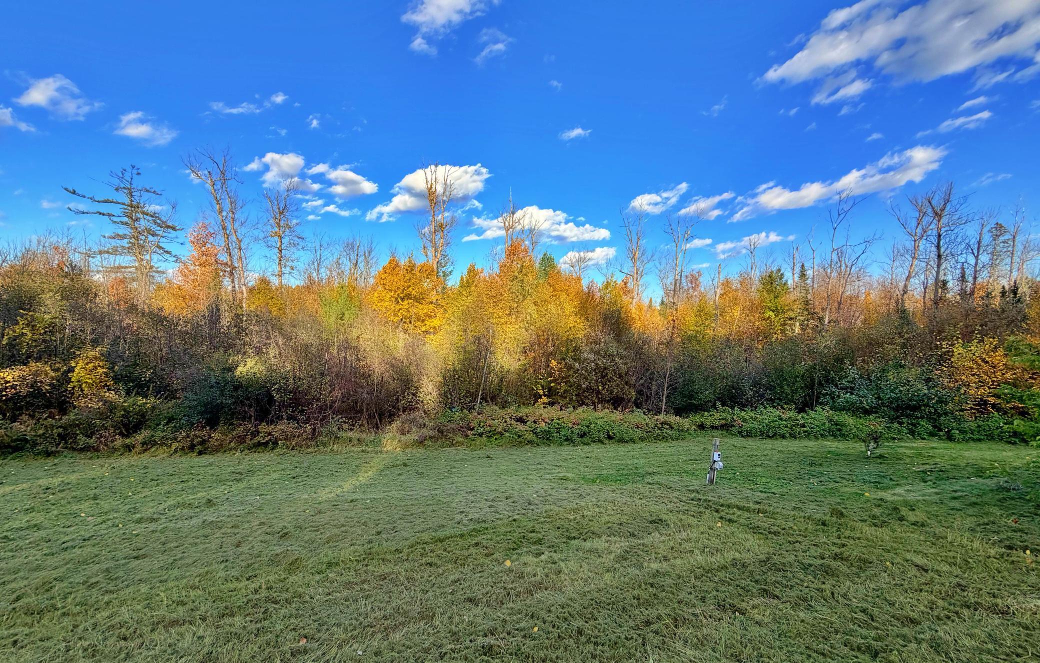 Yard view with privacy.jpg