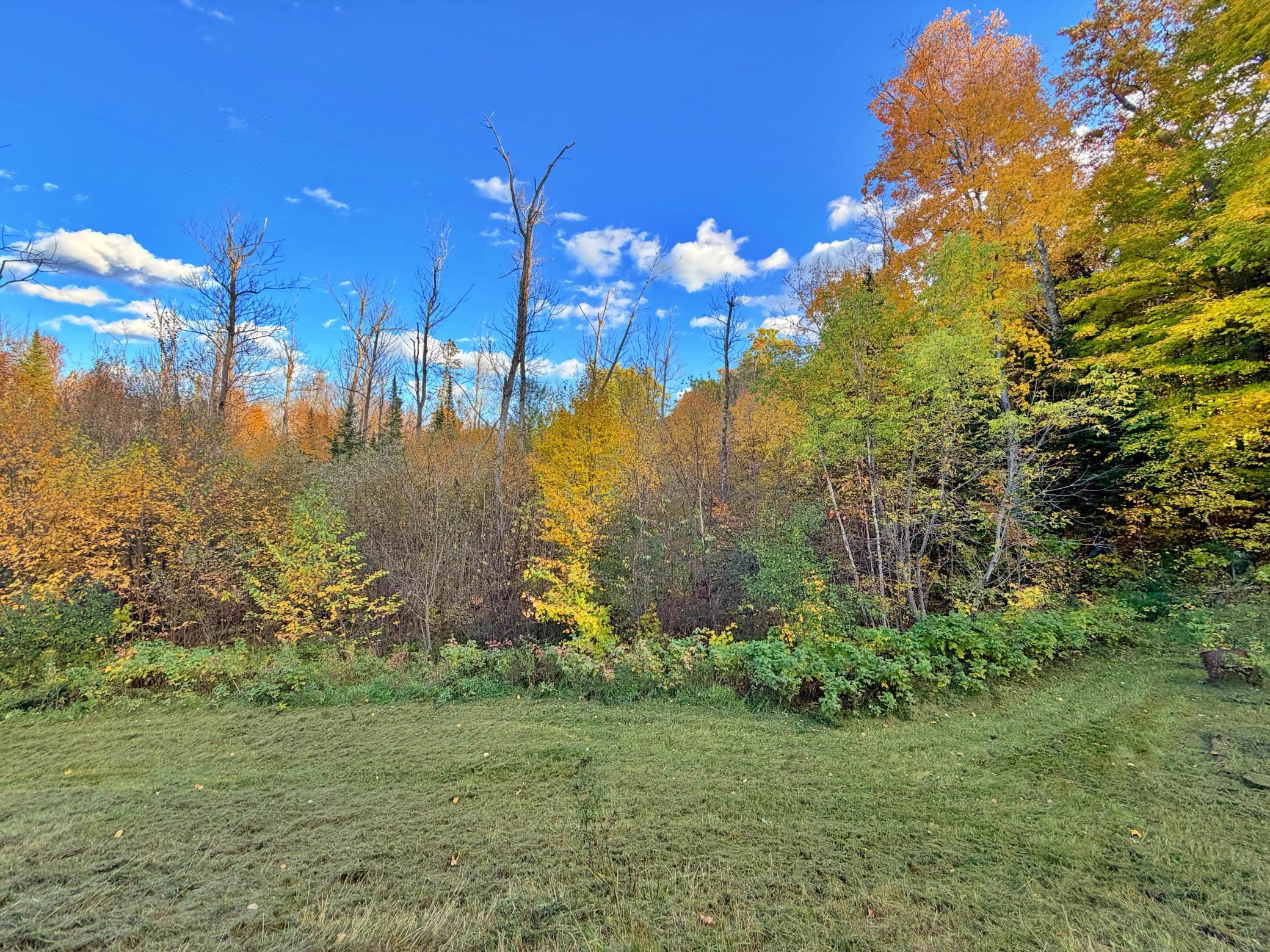 Yard view .jpg