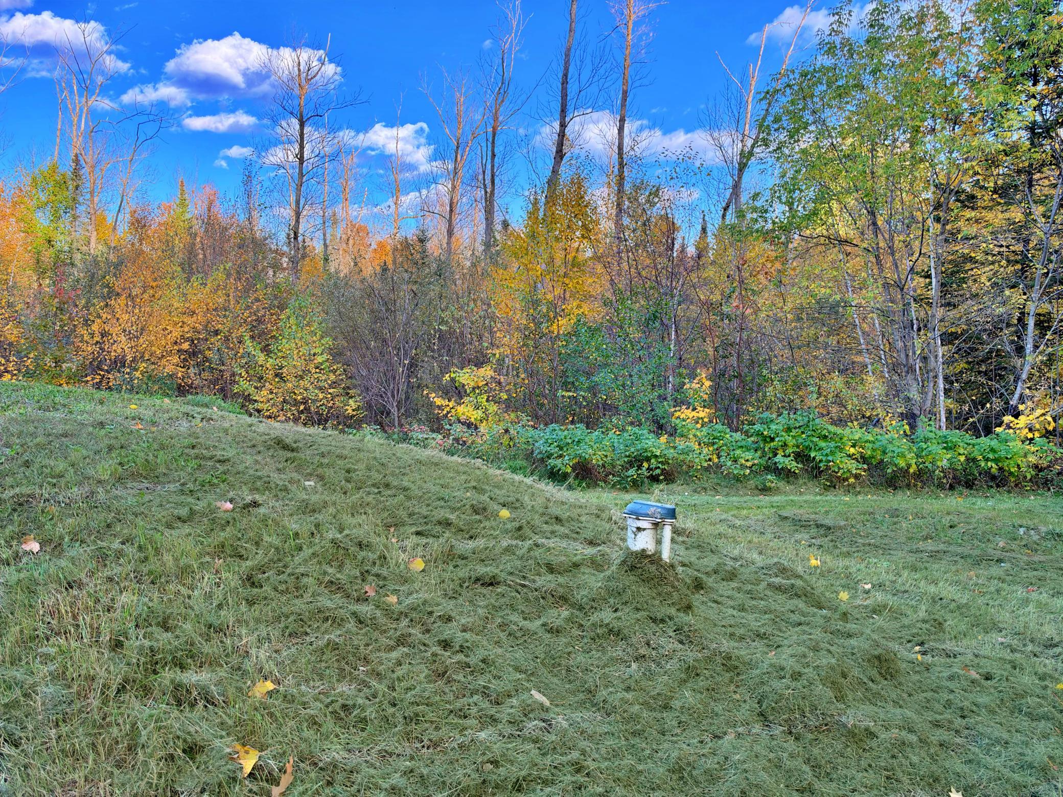 Yard view with well head.jpg