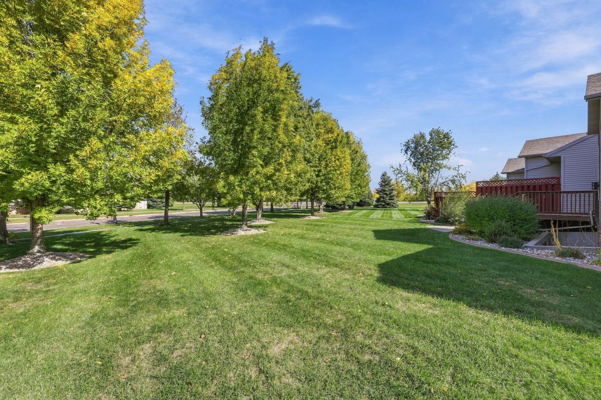 Large backyard - no association, so make it what you like