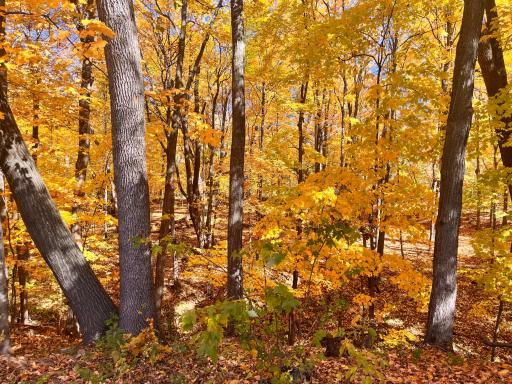 2545 225th Street, Cushing, WI 54006