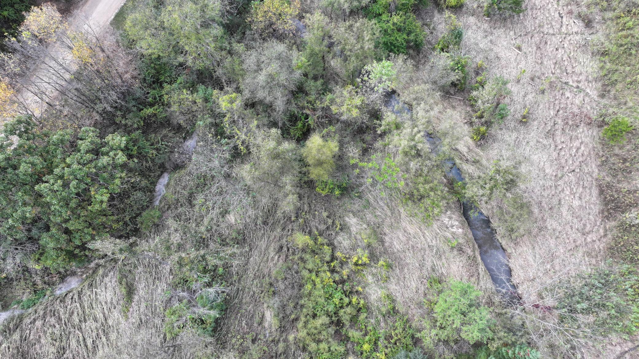 DJI_20260928151234_0719_D.JPG