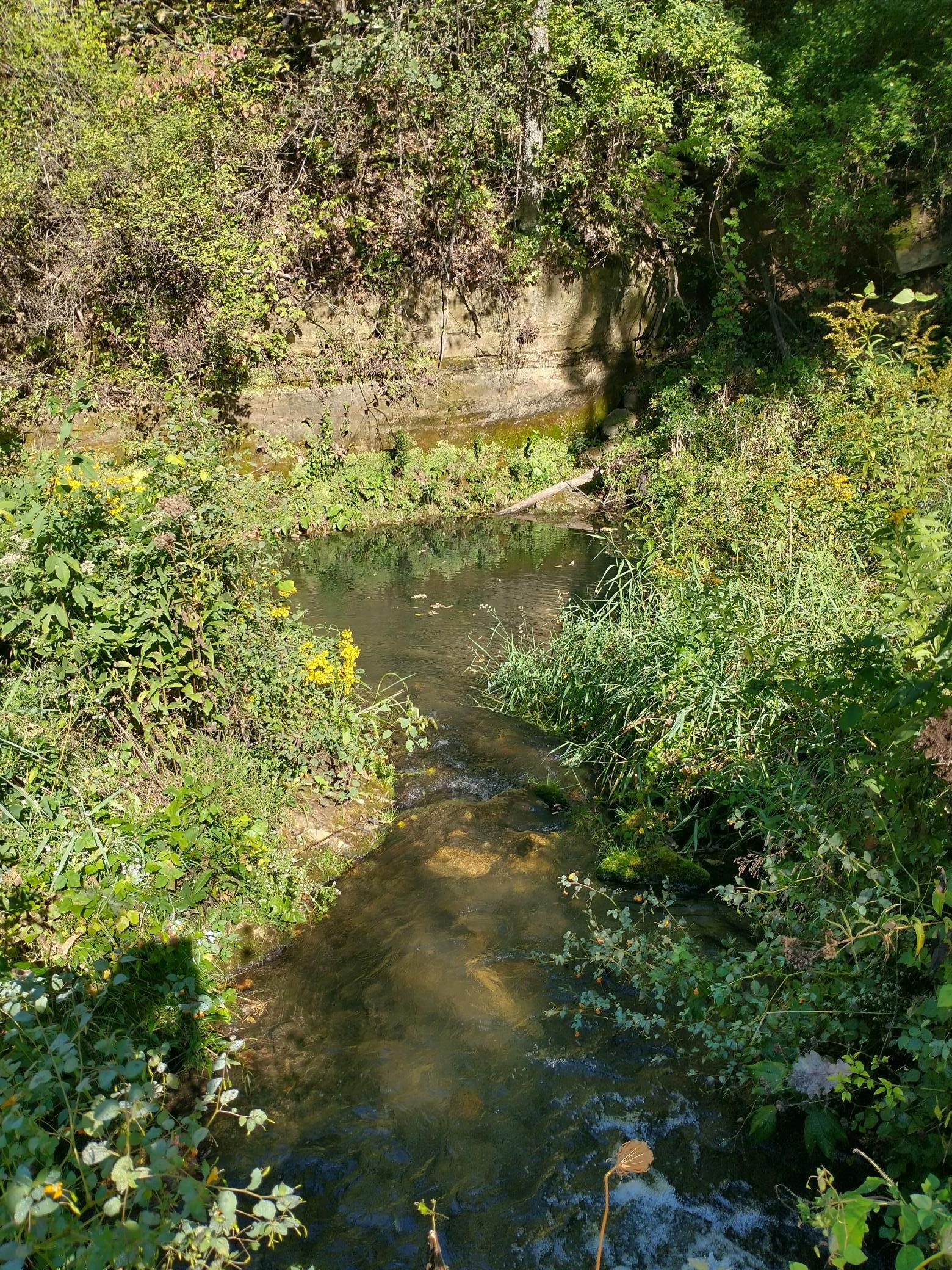 IMG_20260911_095119316_HDR.jpg