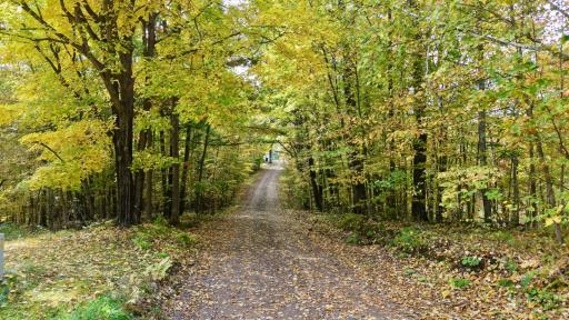 drive down the driveway, have a look, take a walk in the woods