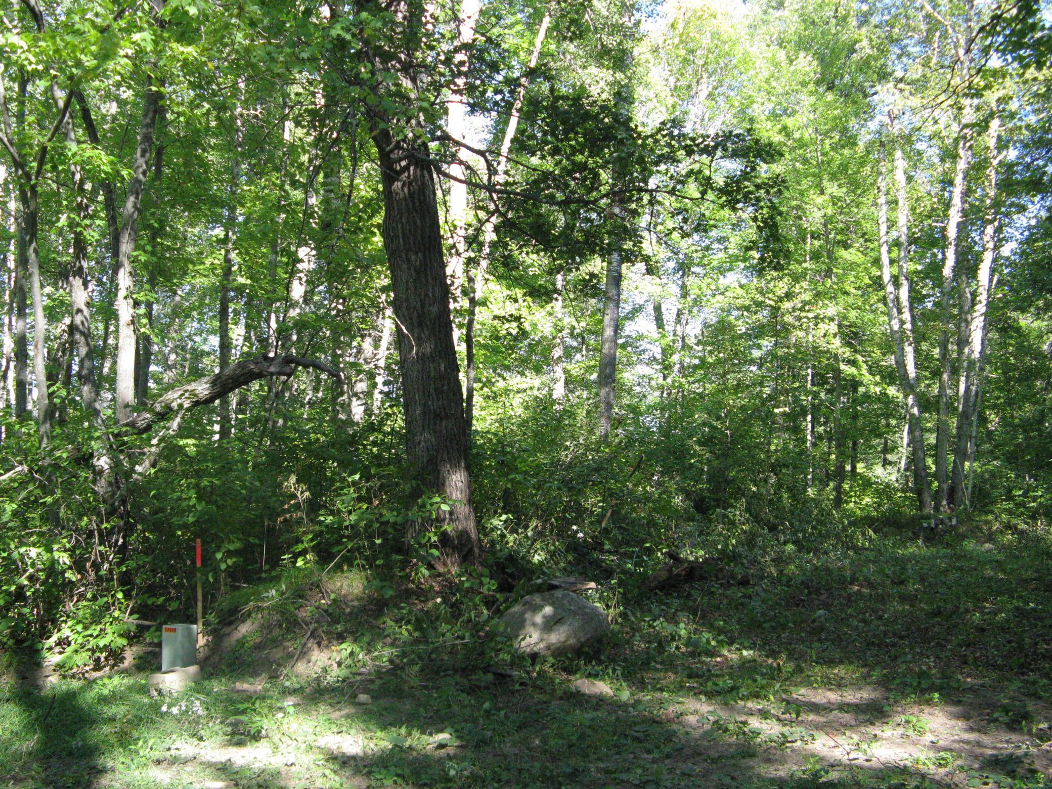 Property photo for TBD Alpine Drive, Breezy Point, MN 56472
