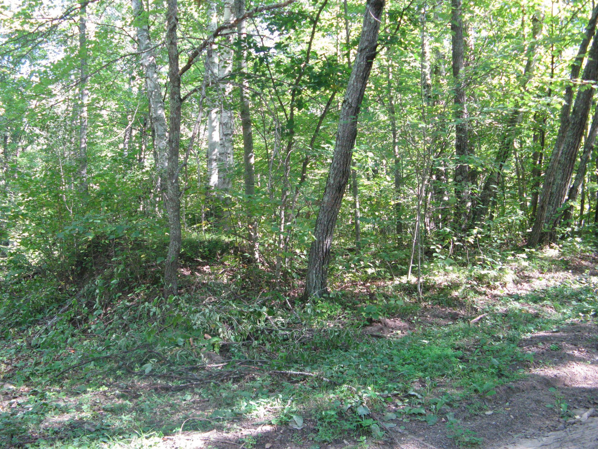 IMG_3766.JPG