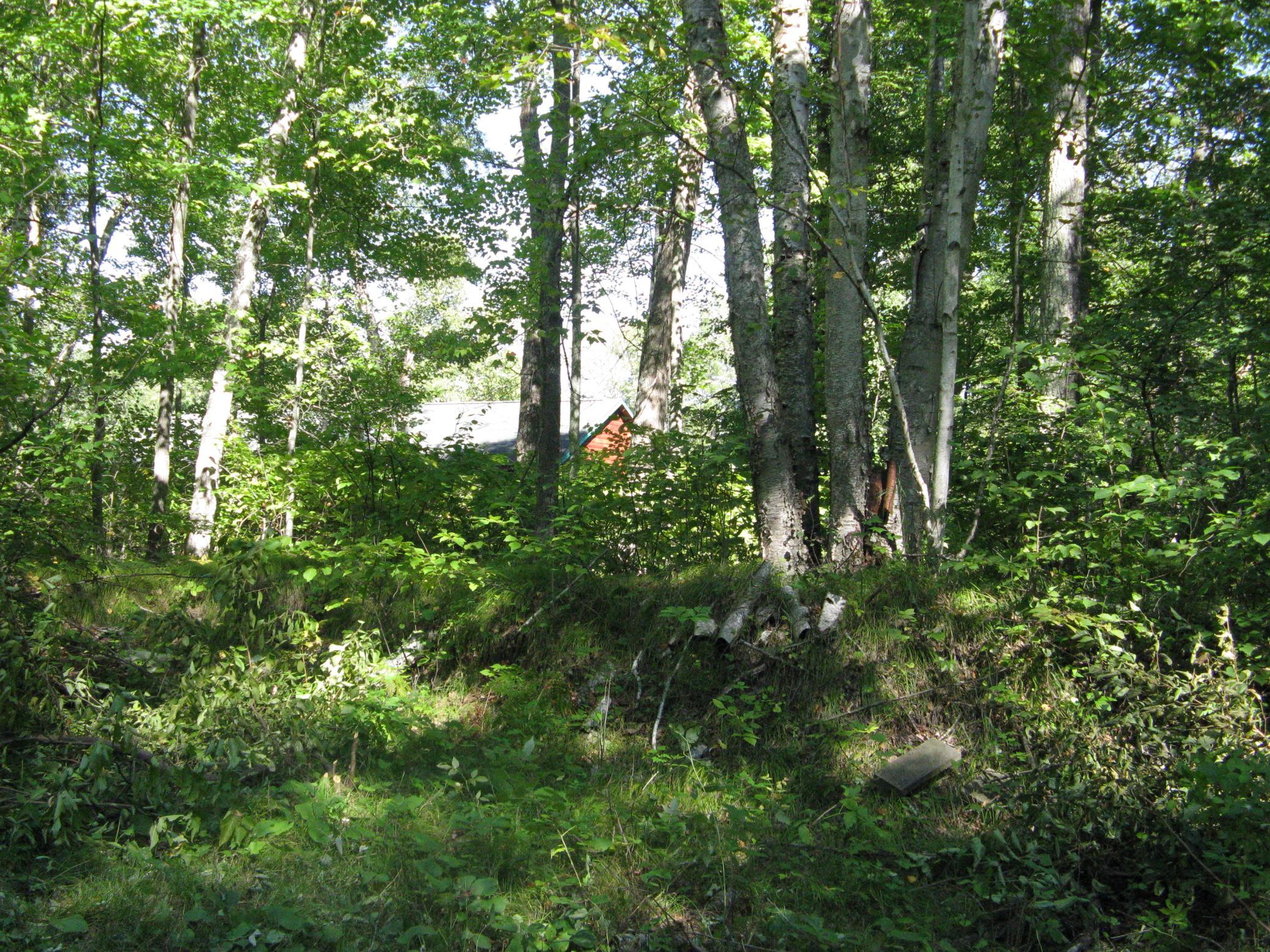 IMG_3767.JPG