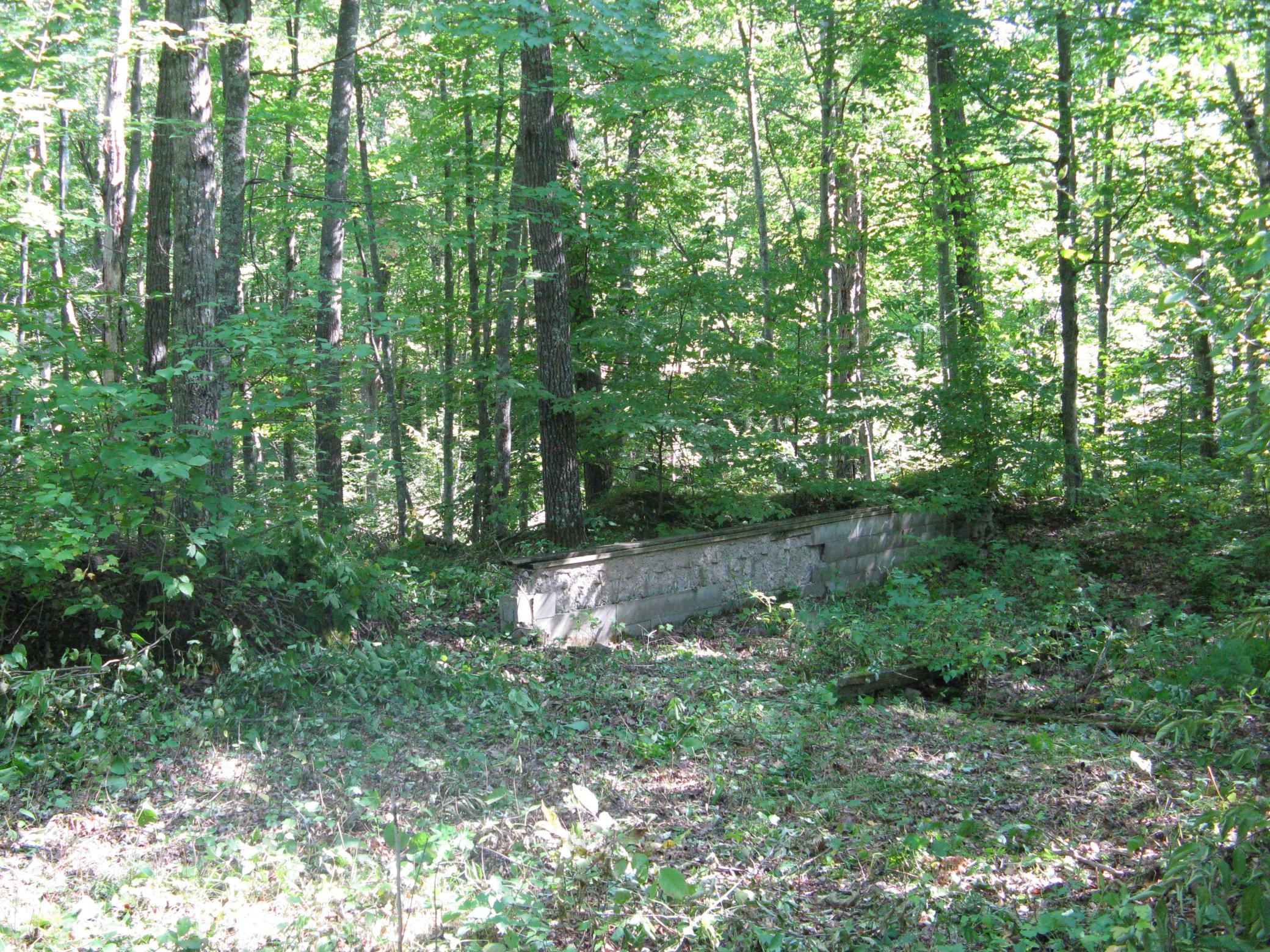 IMG_3769.JPG