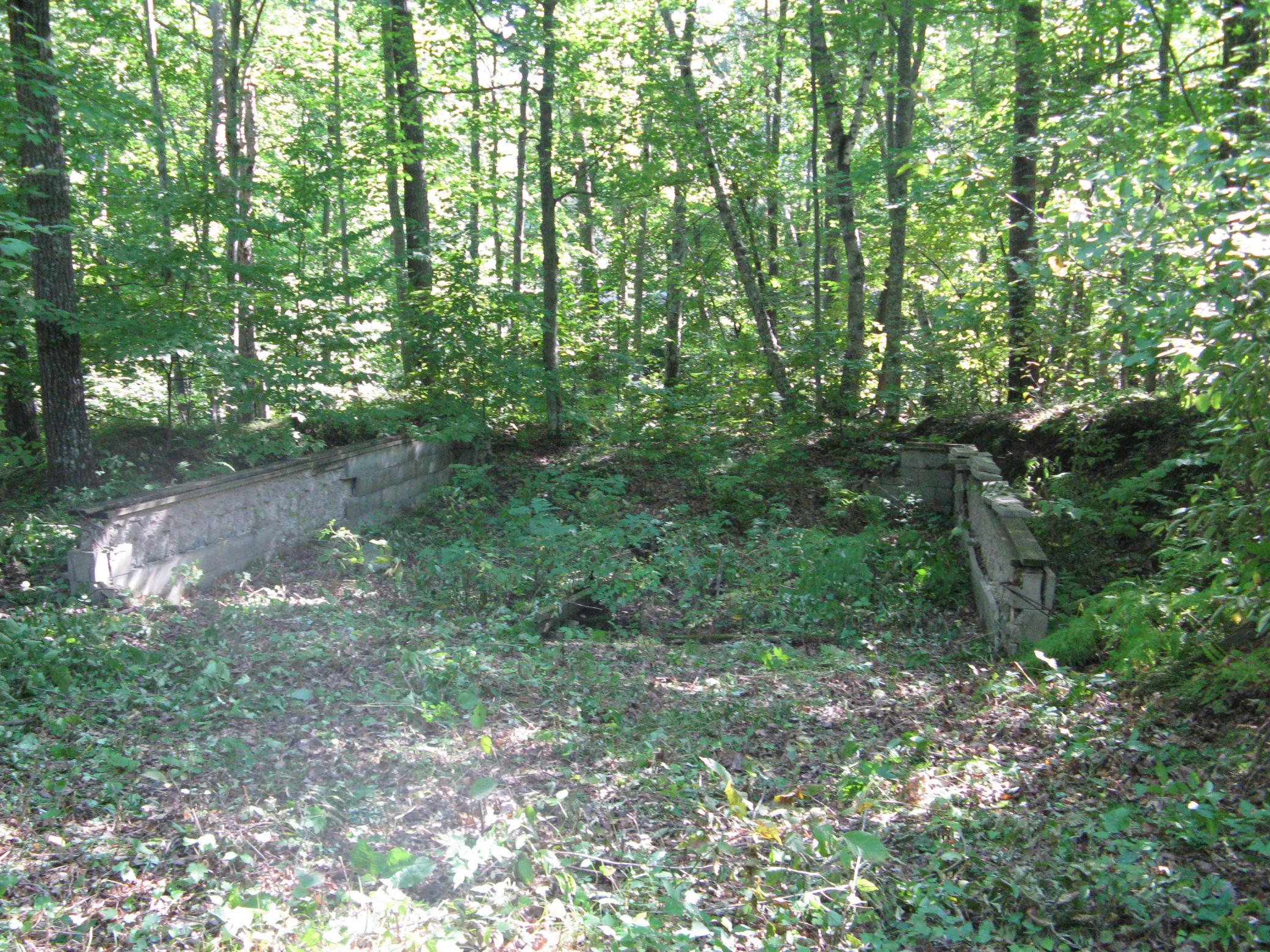IMG_3770.JPG