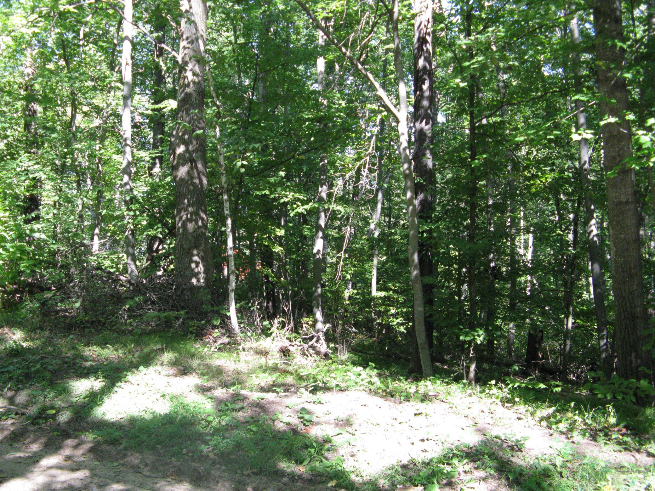 IMG_3773.JPG