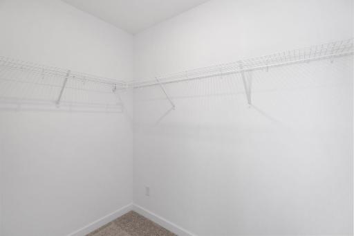 16805 Ebony Street NW, Ramsey, MN 55303