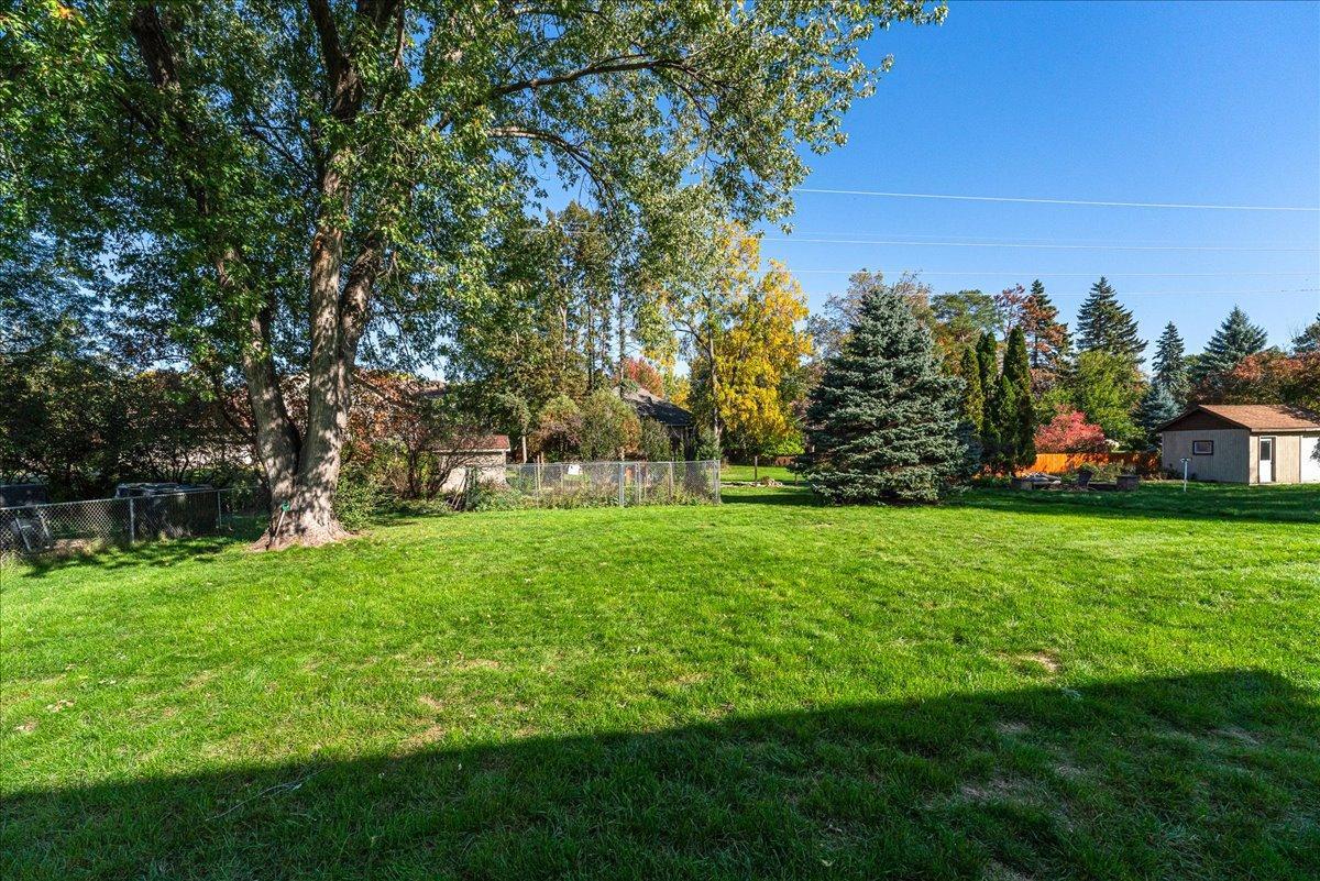 Backyard (3).jpg