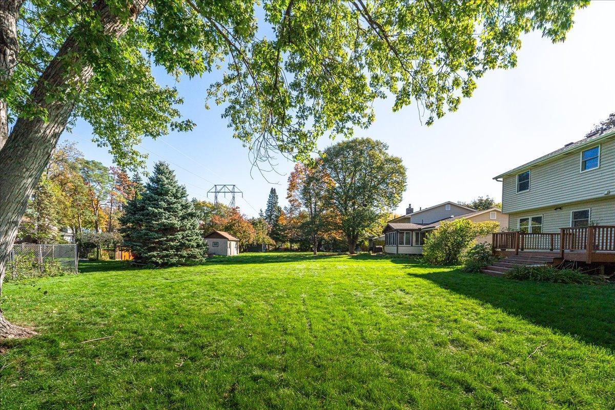 Backyard (2).jpg