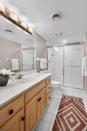 Updated lower level features large walk-in shower.