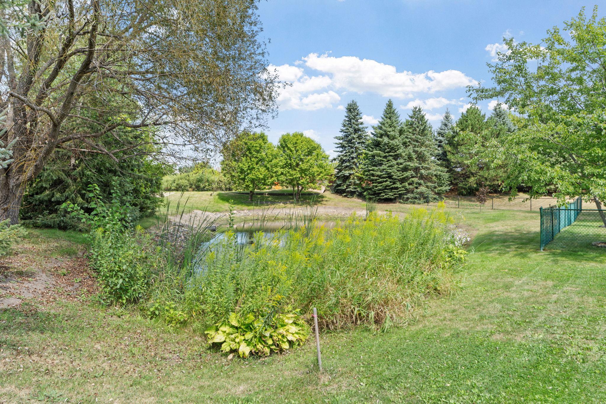 Pond-cared for by the city