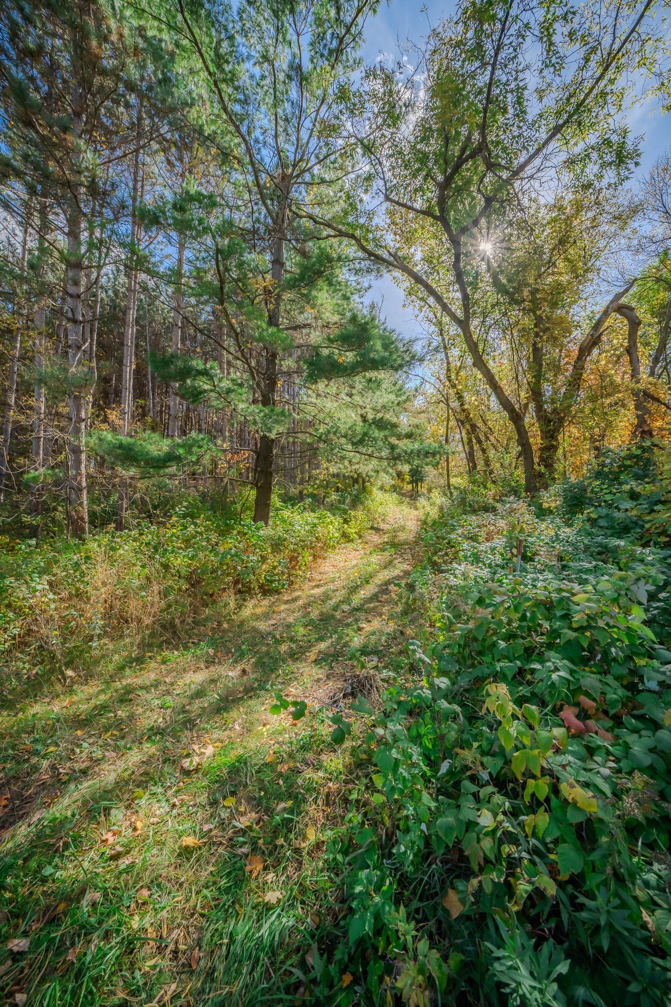 _DSC1156-HDR.jpg