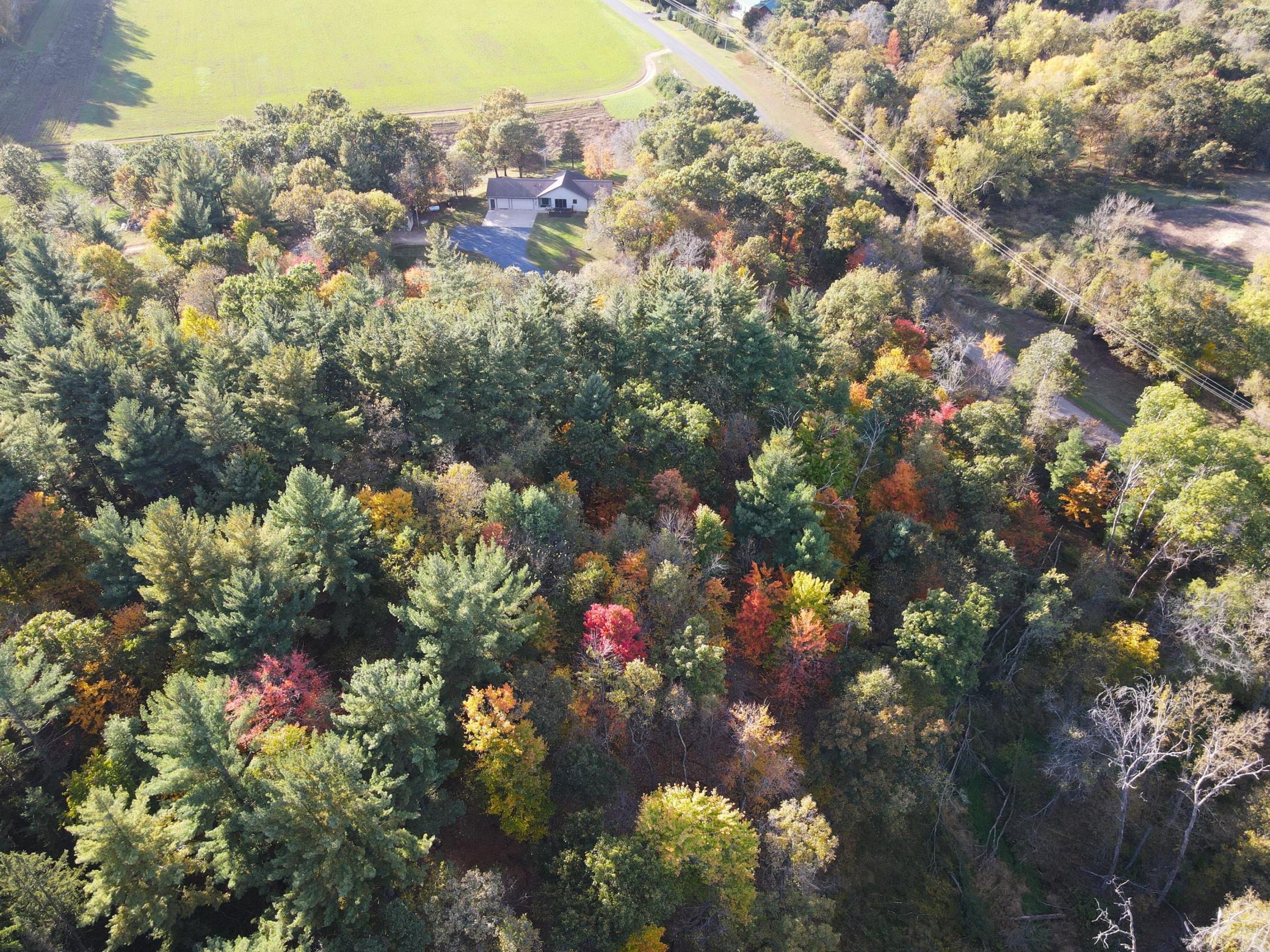 DJI_0772.jpg