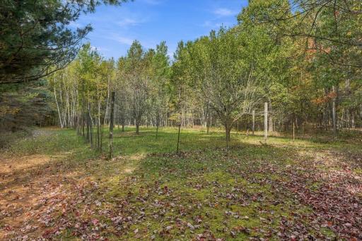 W15501 US Highway 10, Fairchild, WI 54741