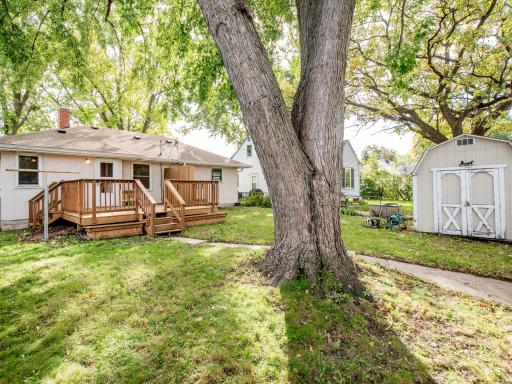 View of Backyard with Full Chain-link Fence