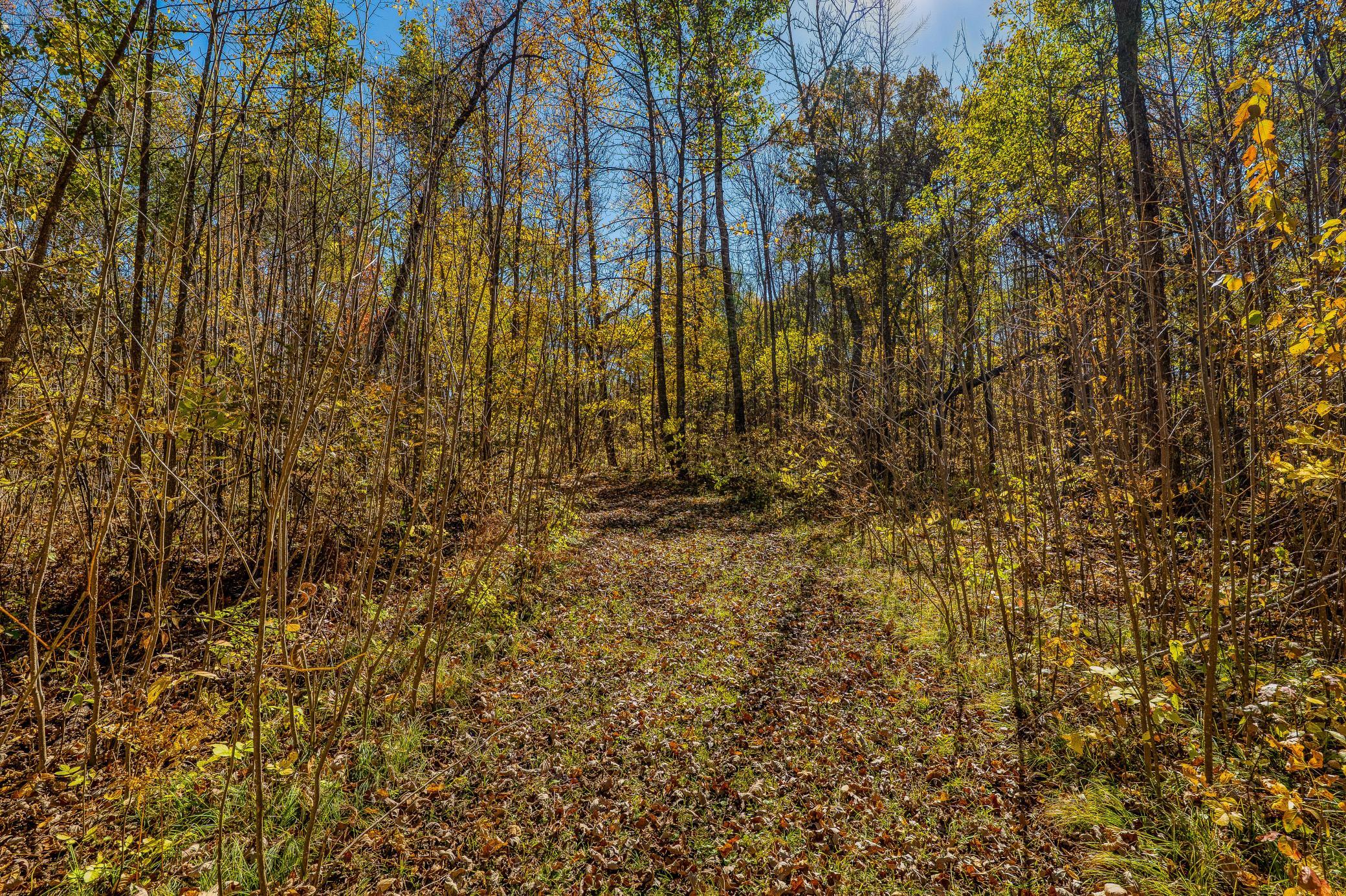 Trails throughout